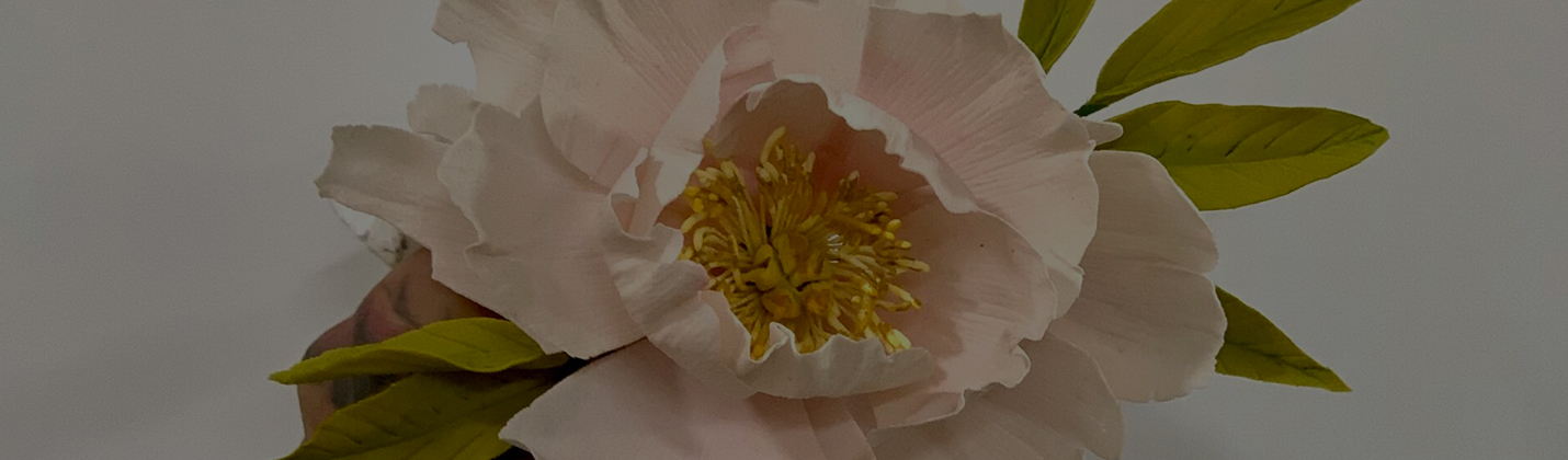 FLOR DE AZÚCAR PEONIA